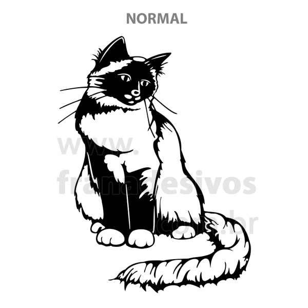 Adesivo de Parede Gato Gatinho Fran Adesivos Artesanato Simples Com Eva ~ Adesivo de Parede Gato Gatinho Fran Adesivos